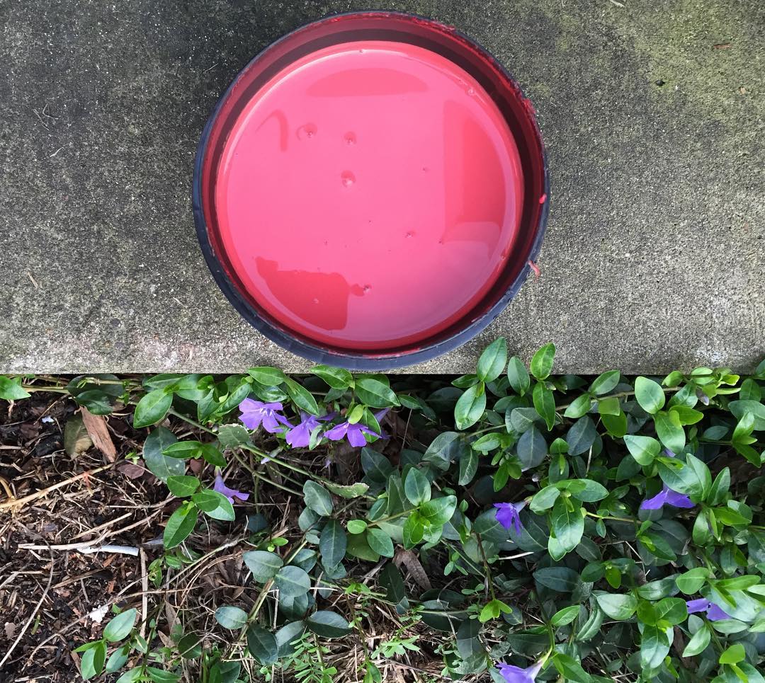 Impromptu emulsion photoshoot