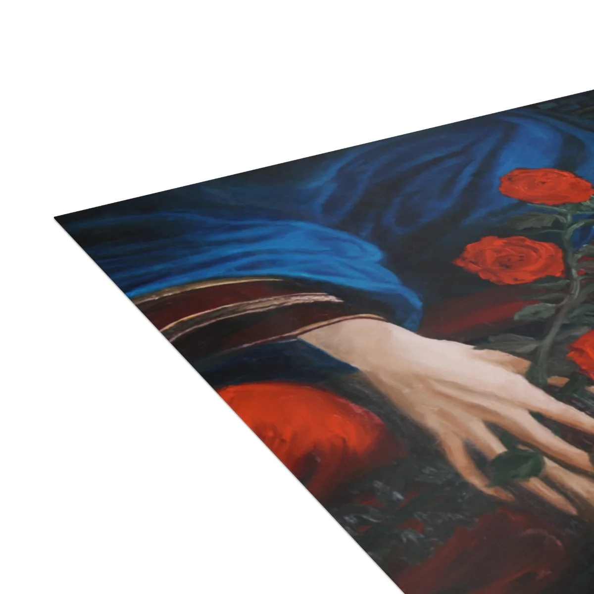 6223c5e3ccaeeb8cc60573303d4a6bb7