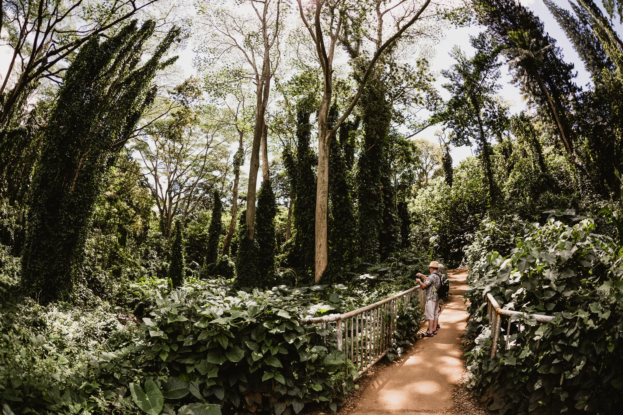 Hawaii(7)-44.jpg