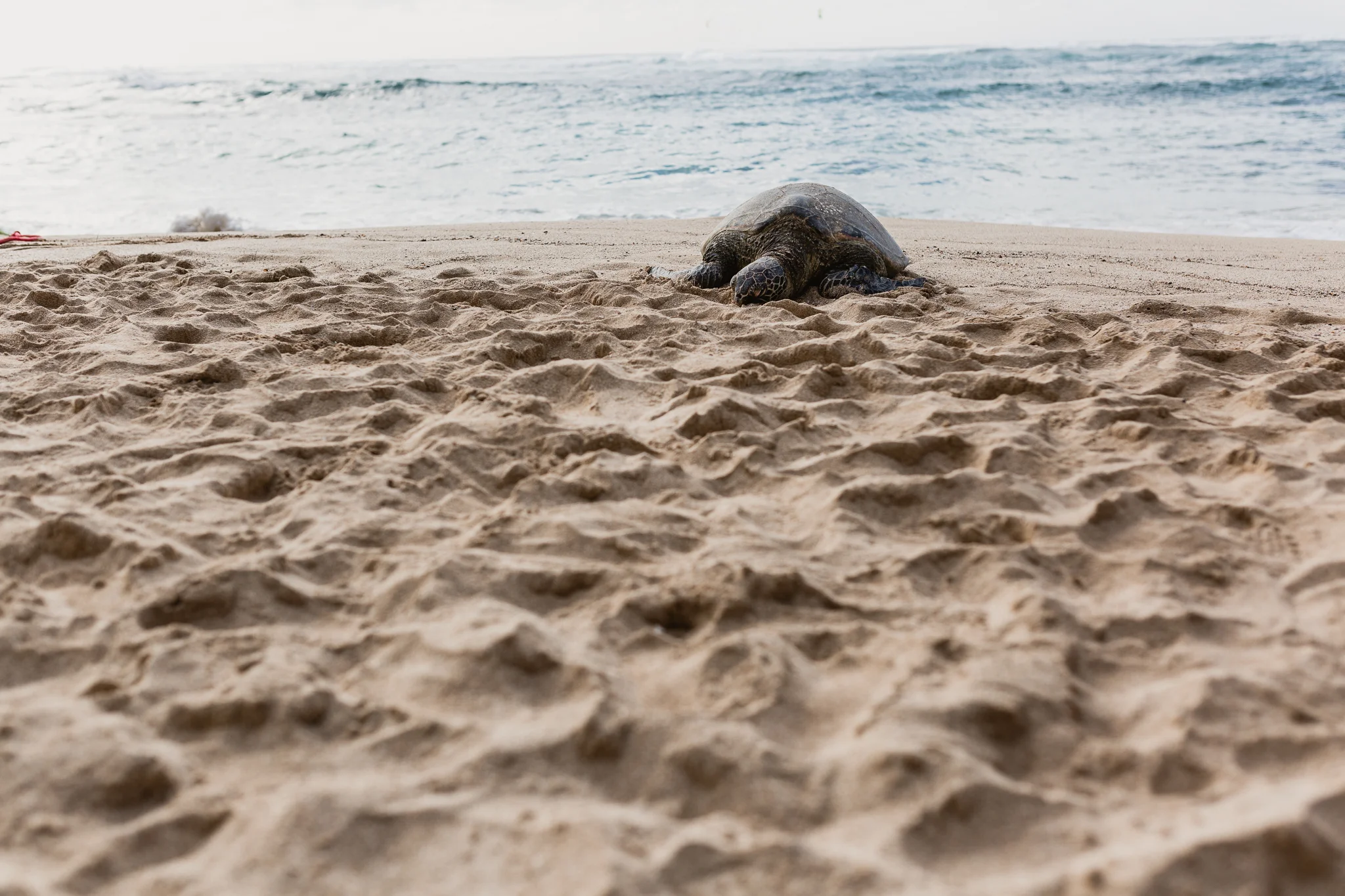 Hawaii(8)-54.jpg