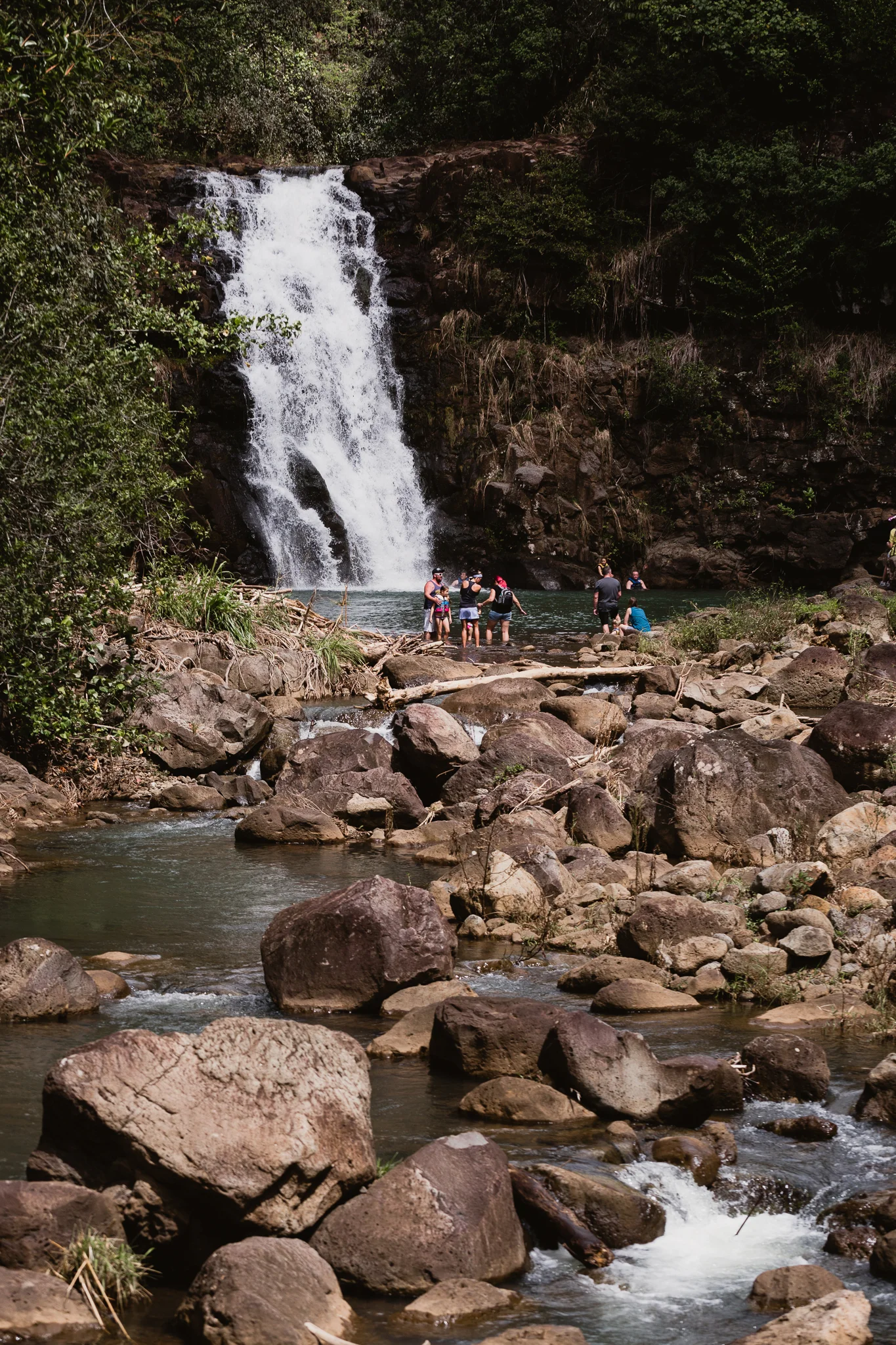 Hawaii(9)-125.jpg