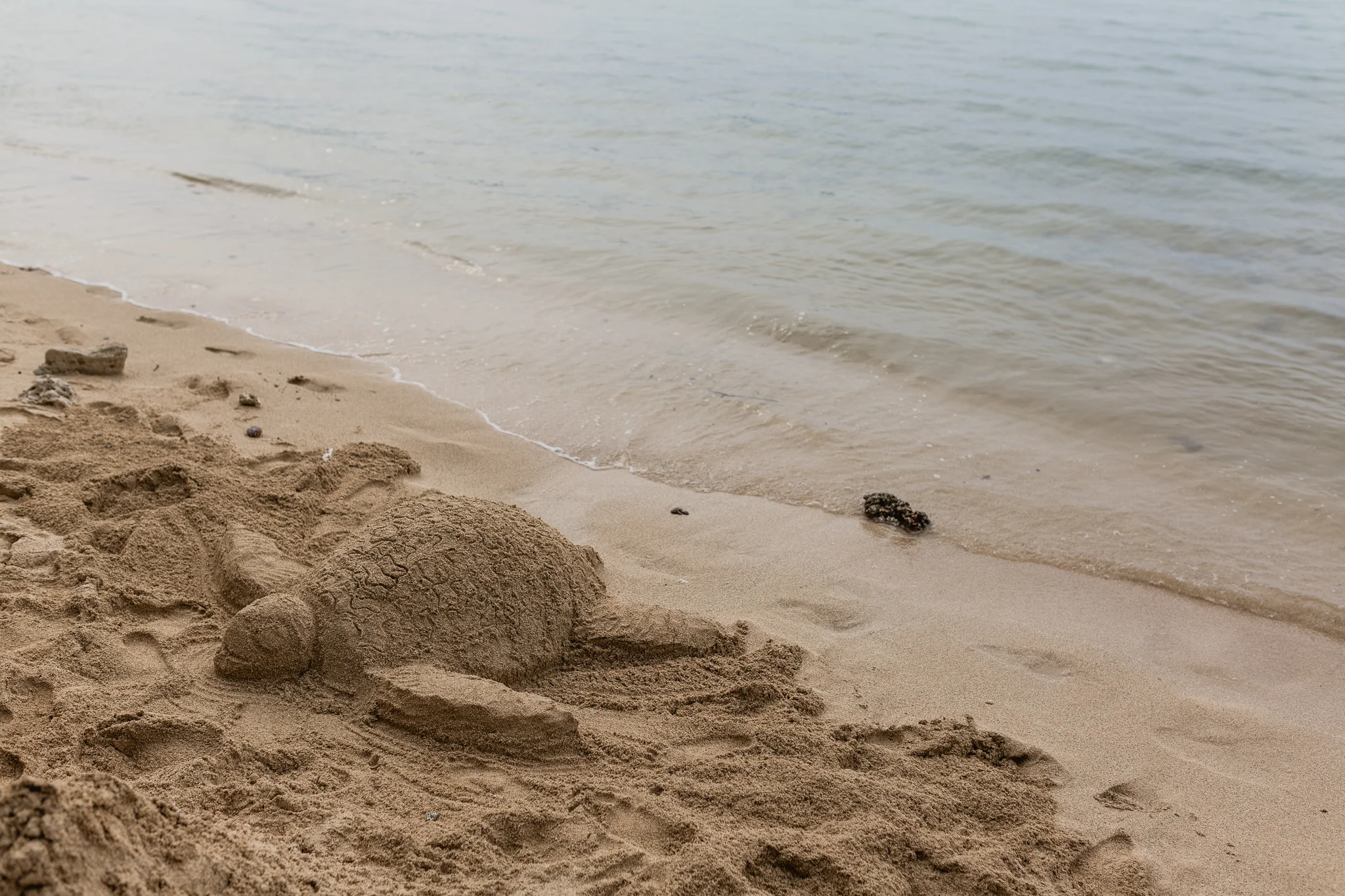 Hawaii(11)-29.jpg