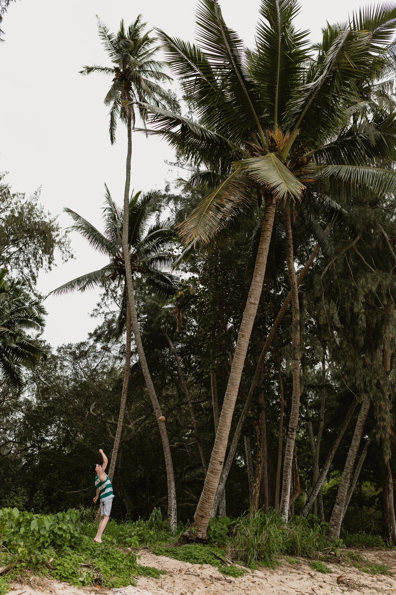 Hawaii(11)-46.jpg