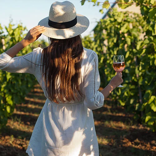 taste-barossa-wine-night.jpg