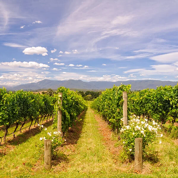 Mystery Weekend Away in Yarra Valley.jpg
