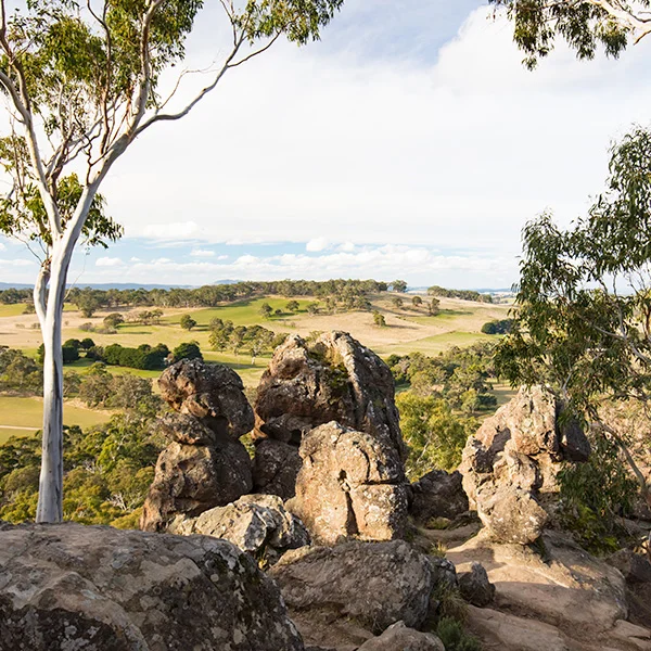 Macedon-ranges-mystery-picnic.jpg