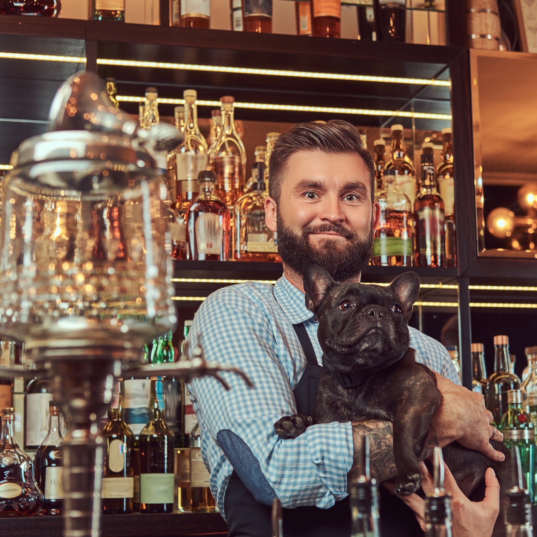 Canva+-+Bartender+Carrying+a+Black+Pug+in+Pub.jpg