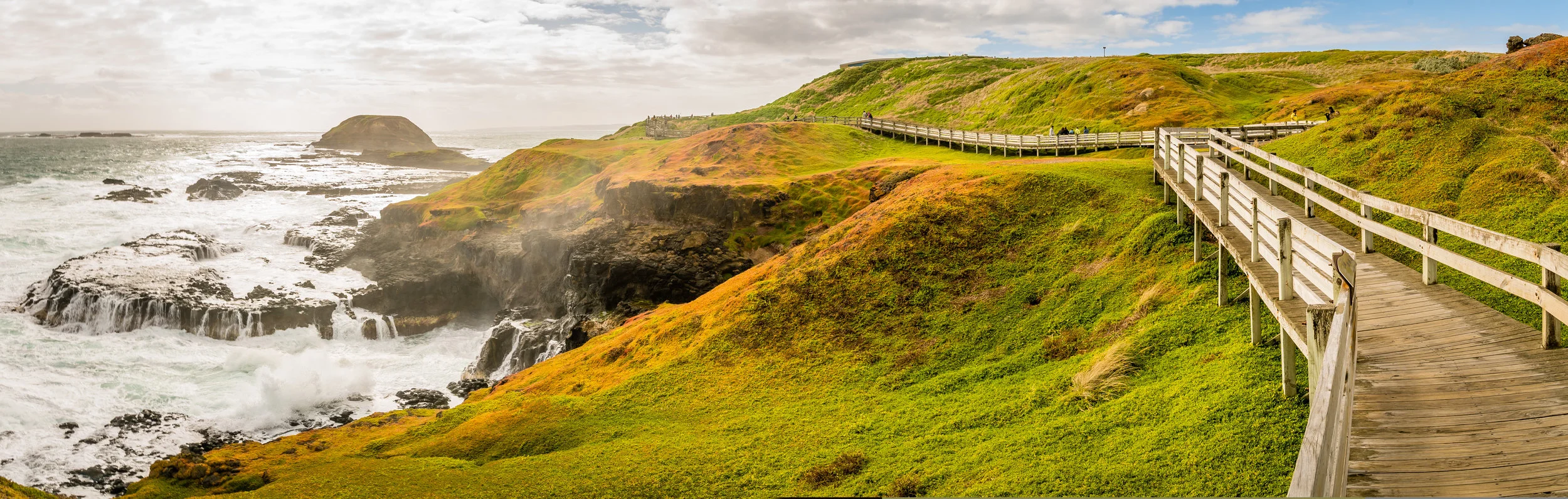 Day Trips From Melbourne - Phillip Island.jpg