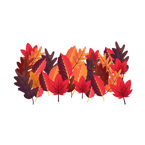 Three different types of leaves - How are they different up close?