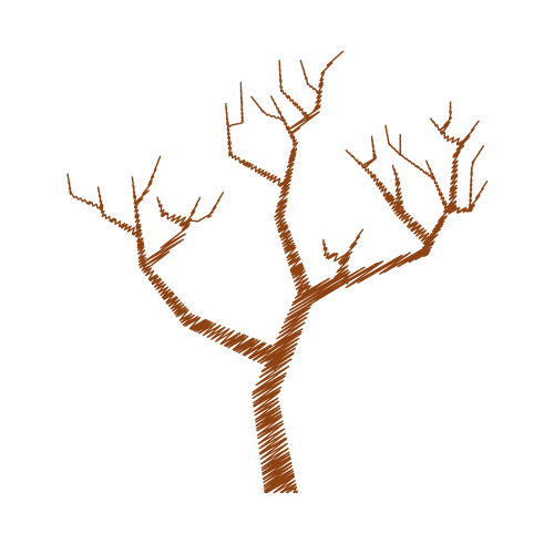 A tree with no leaves