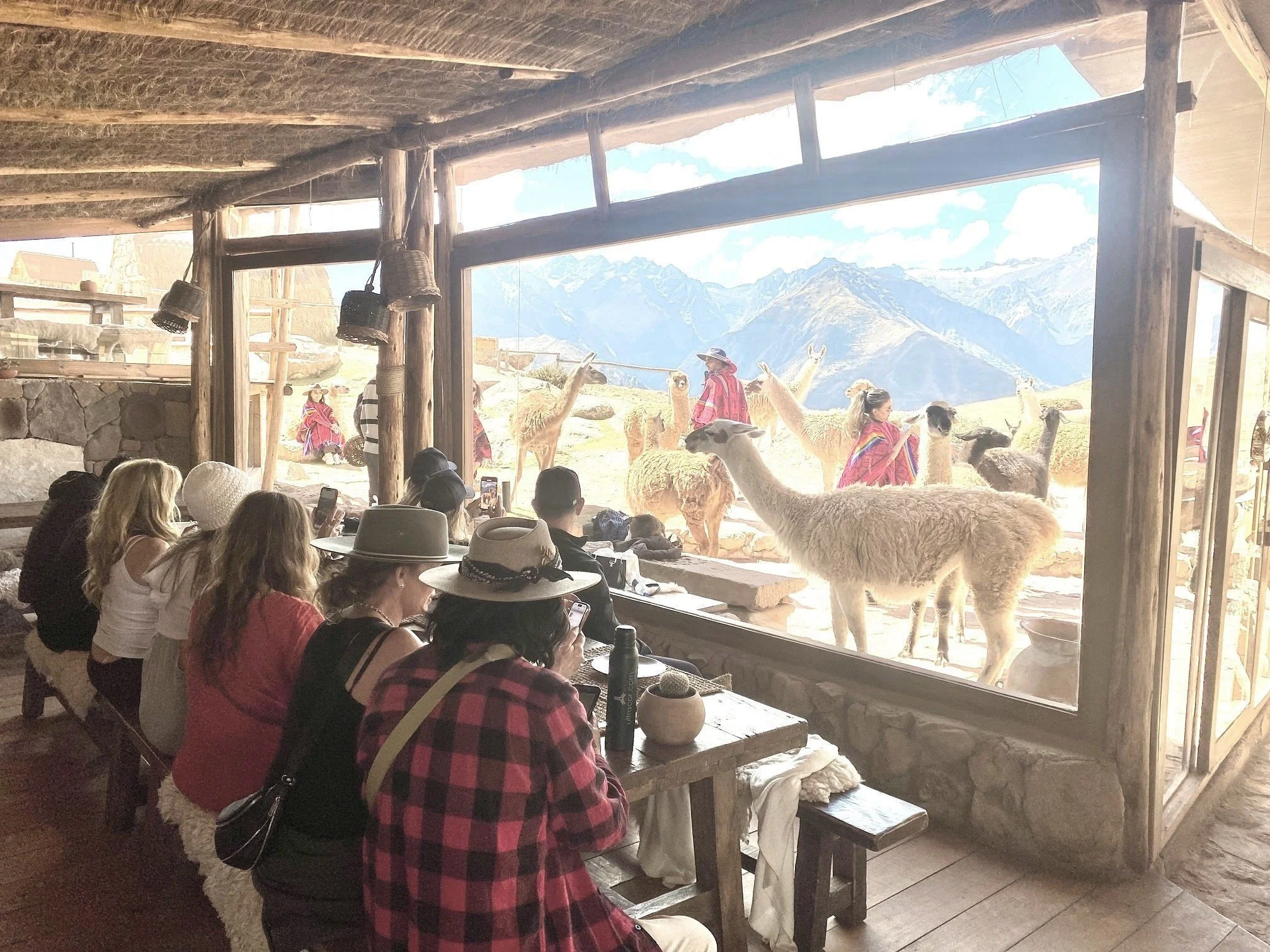 Unique Culinary Experiences