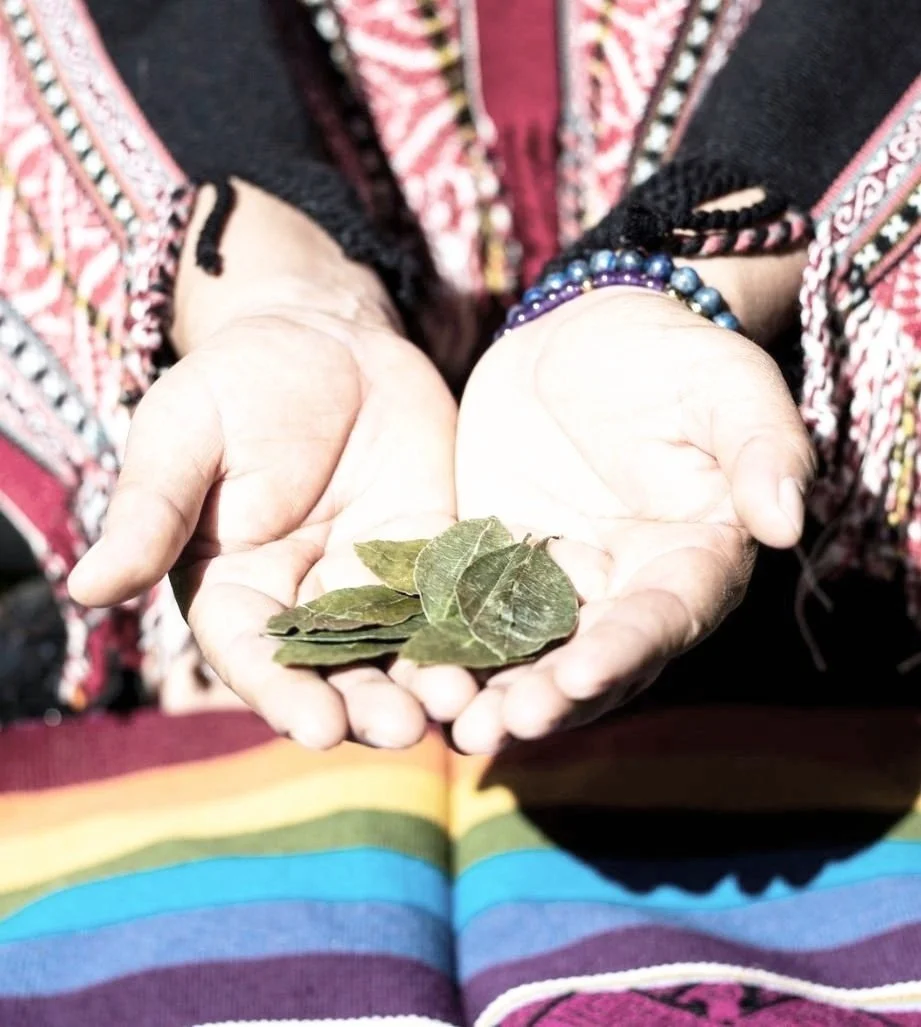 Cocao Leaf Reading