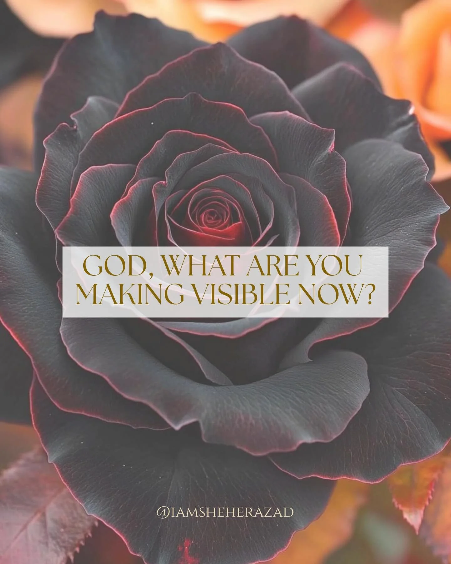 There are moments when something surfaces in the collective that the psyche was never meant to absorb all at once. 

And it deserves to be talked about and processed as one human family.

Right now the collective is experiencing a nervous system brea