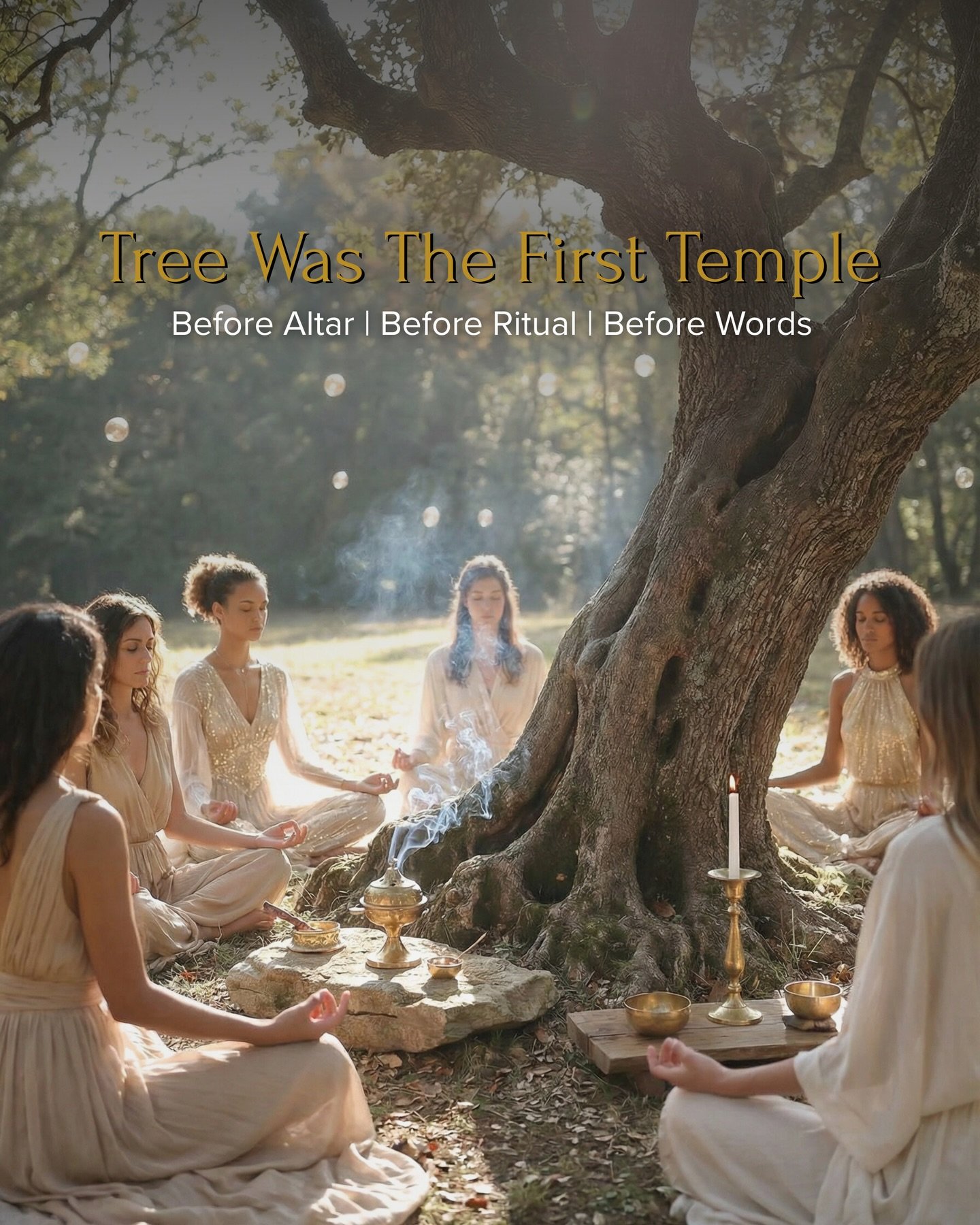The Tree Was the First Temple 🌳

Before stone sanctuaries and formal rites, women gathered at trees. 🌿
In living presence. In shared breath. In direct relationship.

The tree was the original sanctuary because it was alive. Breath exchanged with br