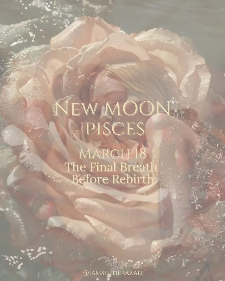 There are moments in the cycle where life invites you to slow down and listen more closely. 

This is one of them. 

This New Moon in Pisces arrives at 28 degrees, the final degree of the zodiac.

The closing threshold of an entire astrological year.
