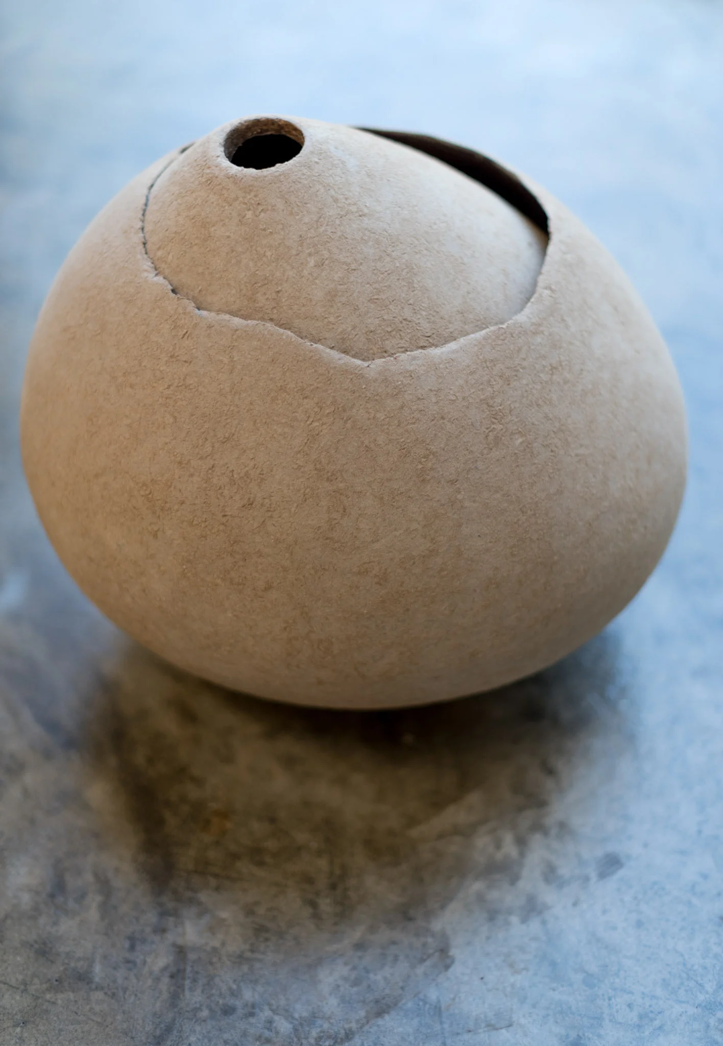 Organic shell vases by Domingos Tótora