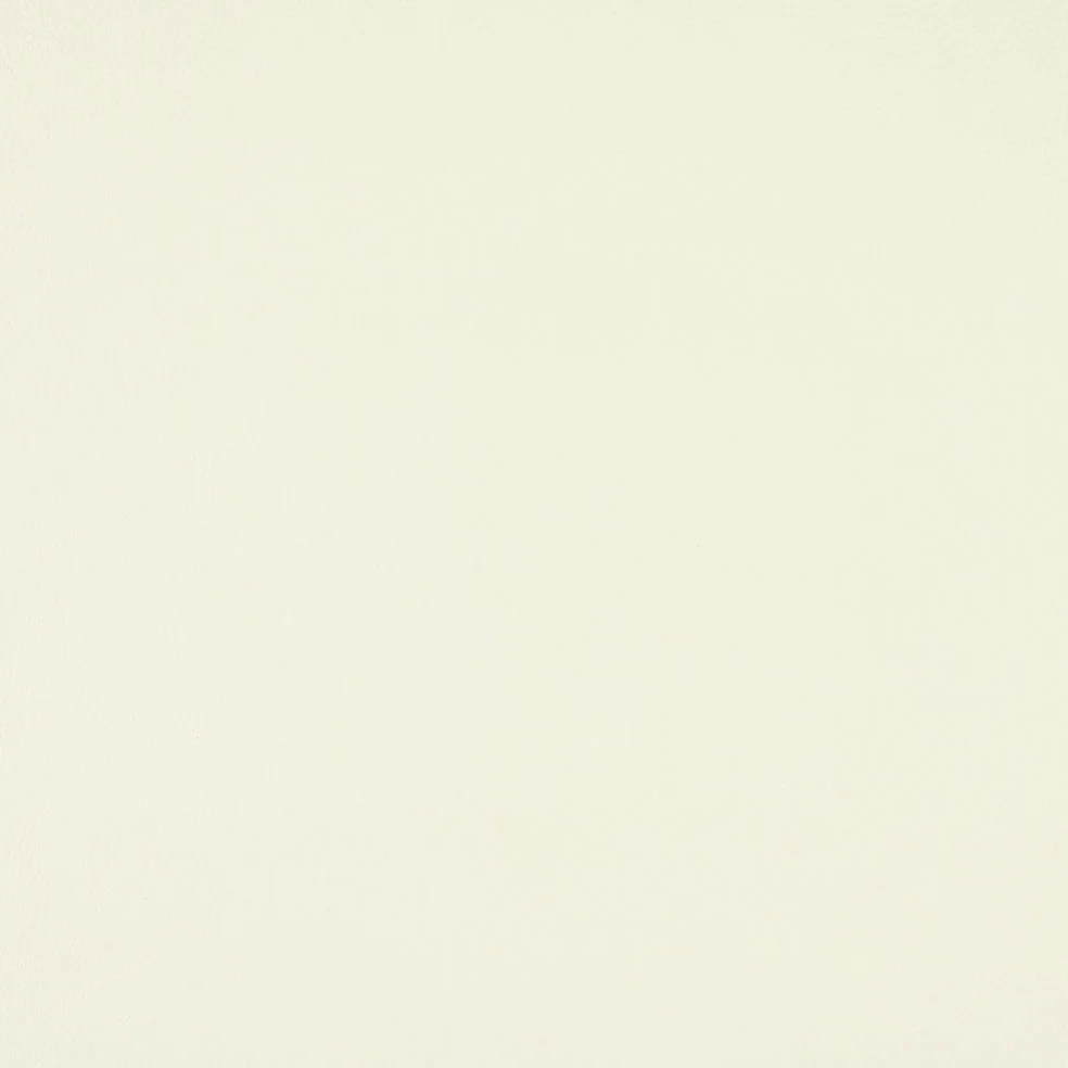 704-10 Birch Bark