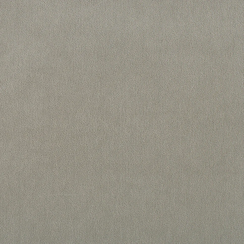 905-18 Weimaraner