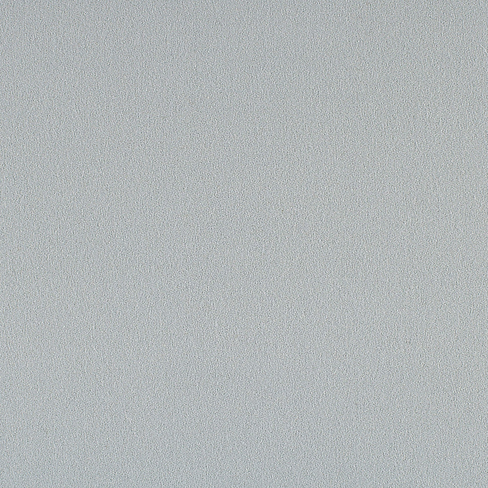 828-81 Frosted Glass