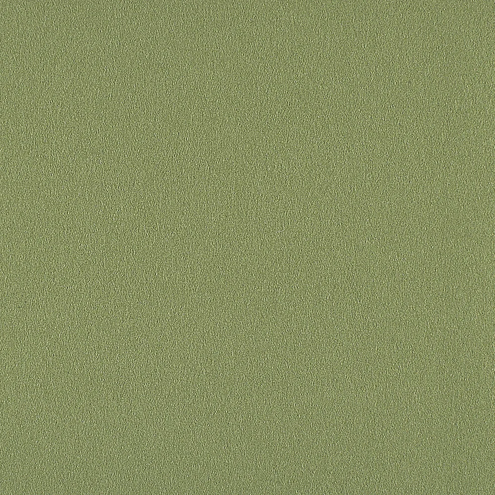 828-62 Spring Grass