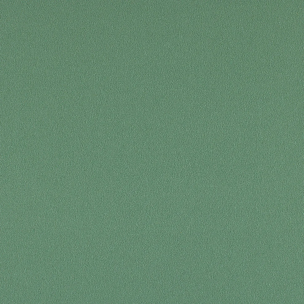 828-67 Succulent
