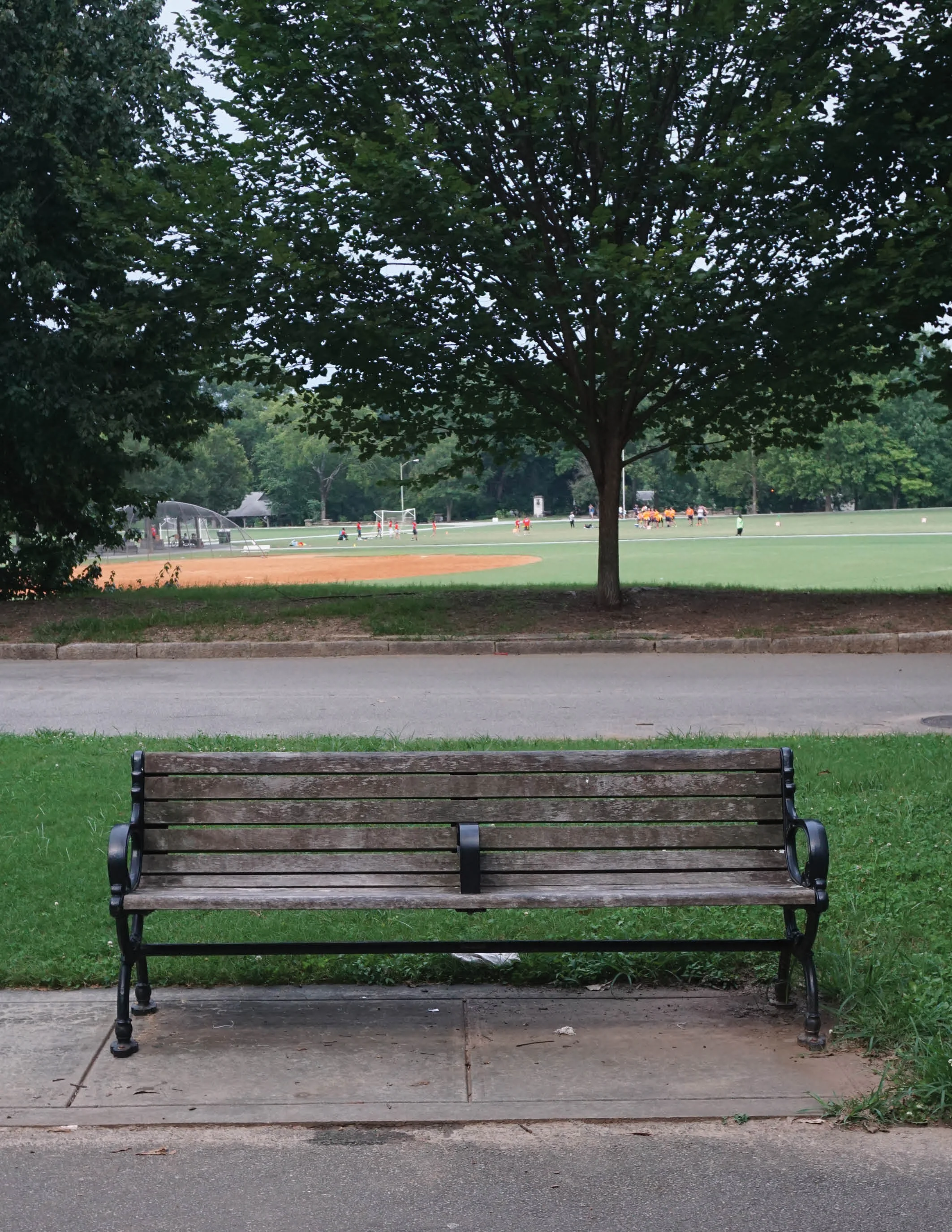 bench for rent.jpg