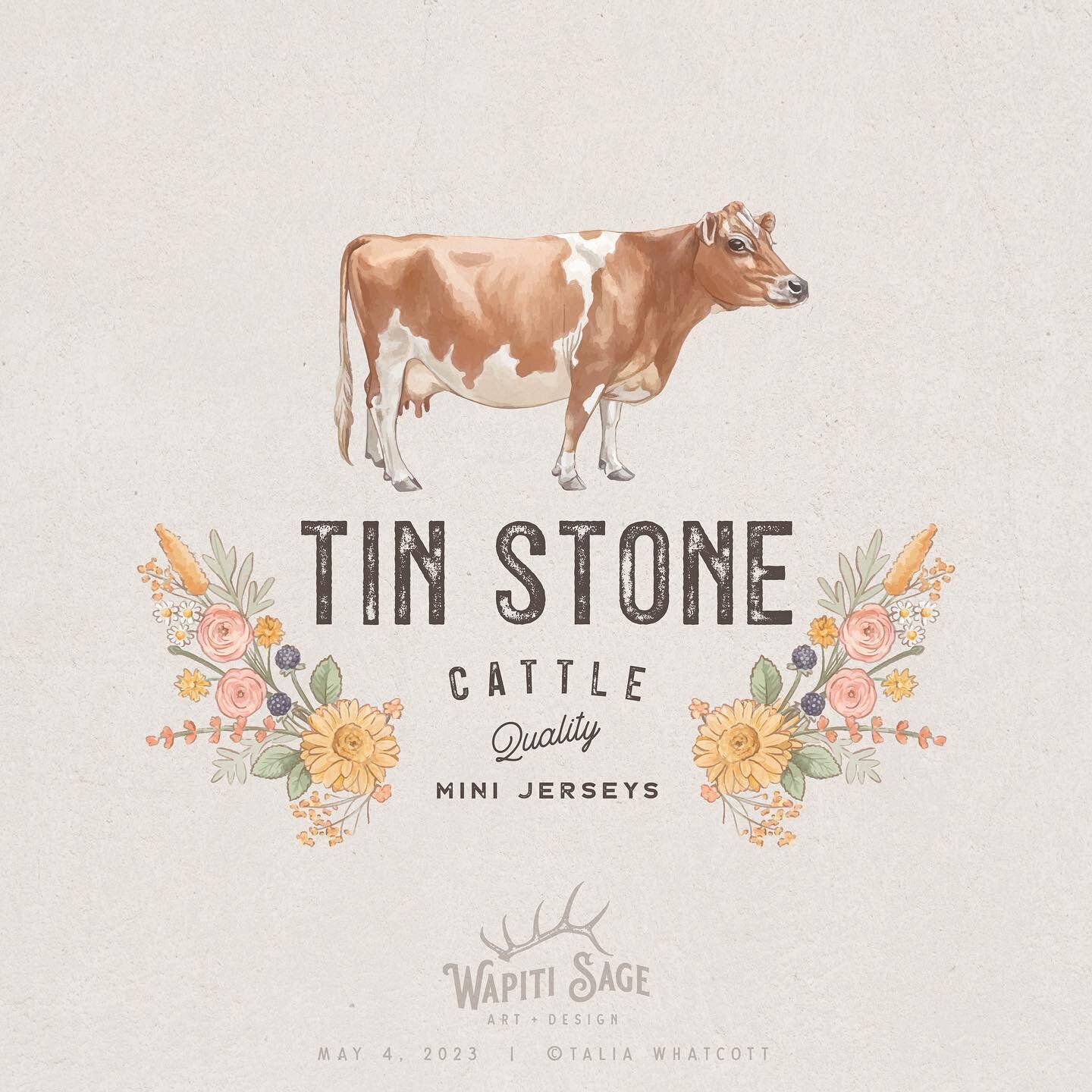 So excited to finally share this branding design I made for @tinstonecattleco! I absolutely loved this set&mdash;it was heavily inspired by wildflowers and, of course, some of the cutest mini Jersey cows! My favorite is the portrait logo of this swee