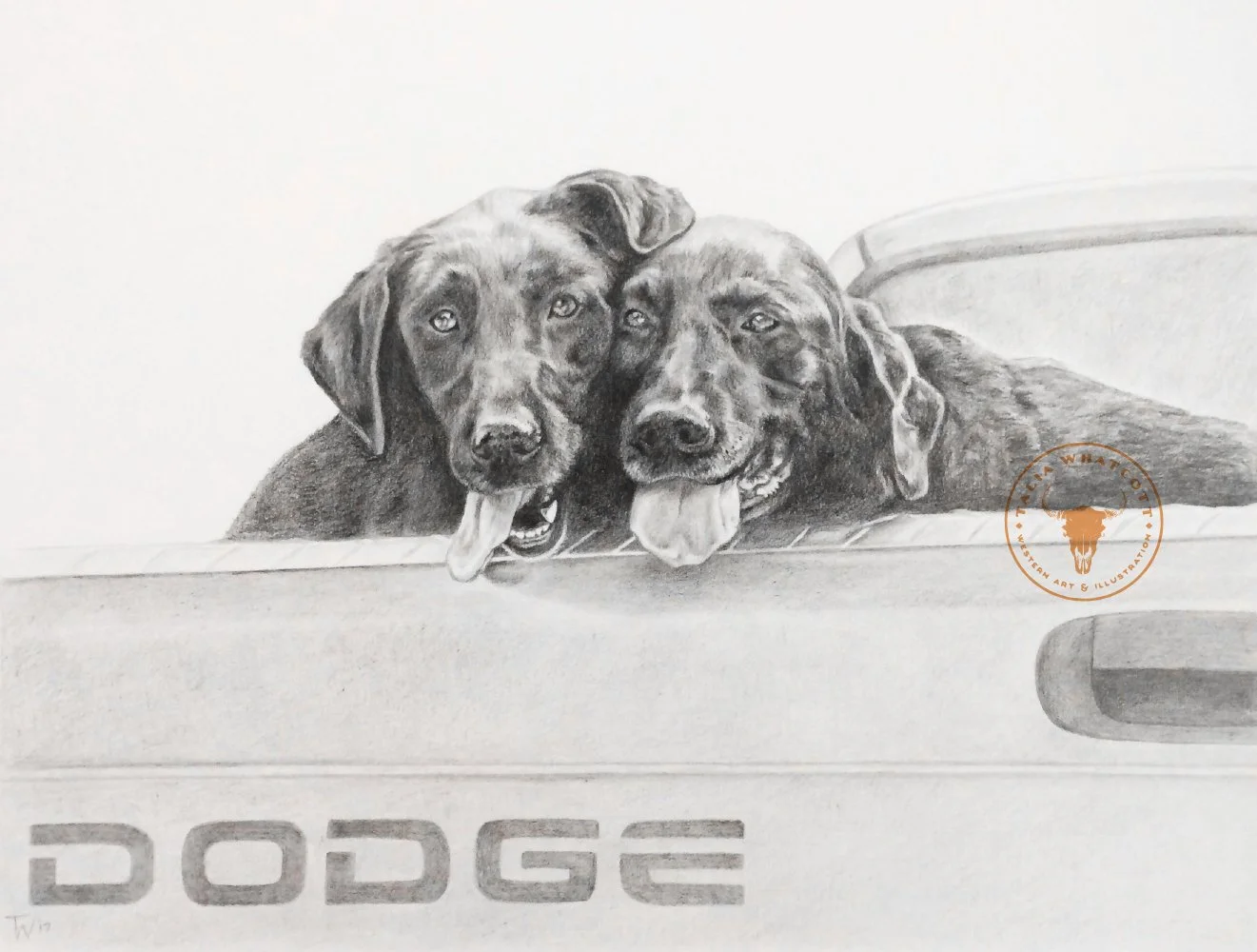 TW Website graphite drawingroxie sheba.jpg