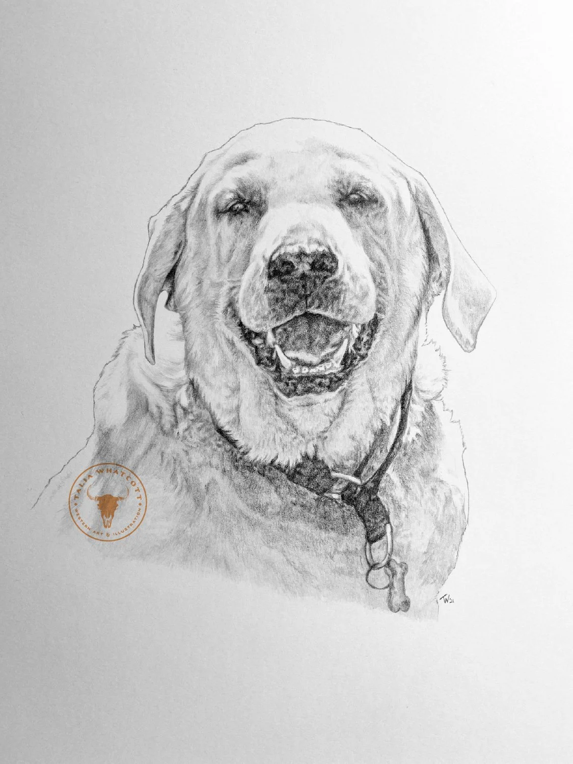 TW Website graphite drawingderek.jpg