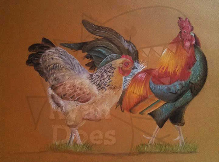 Chickens.jpg