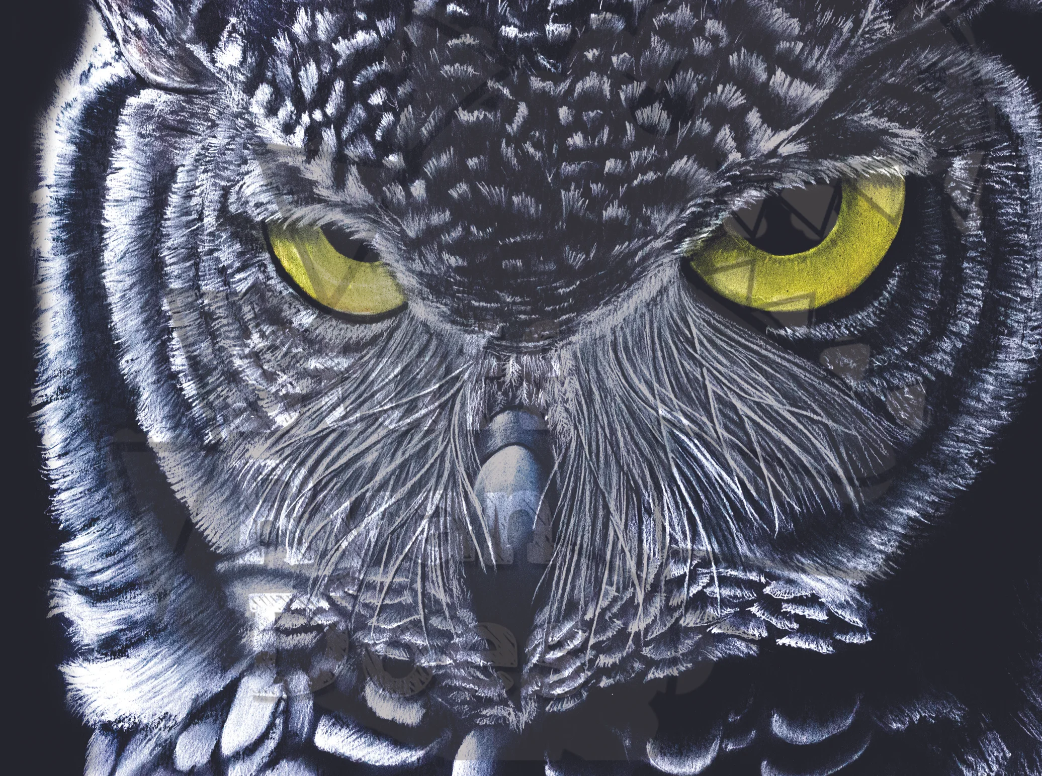 Owl WM.jpg