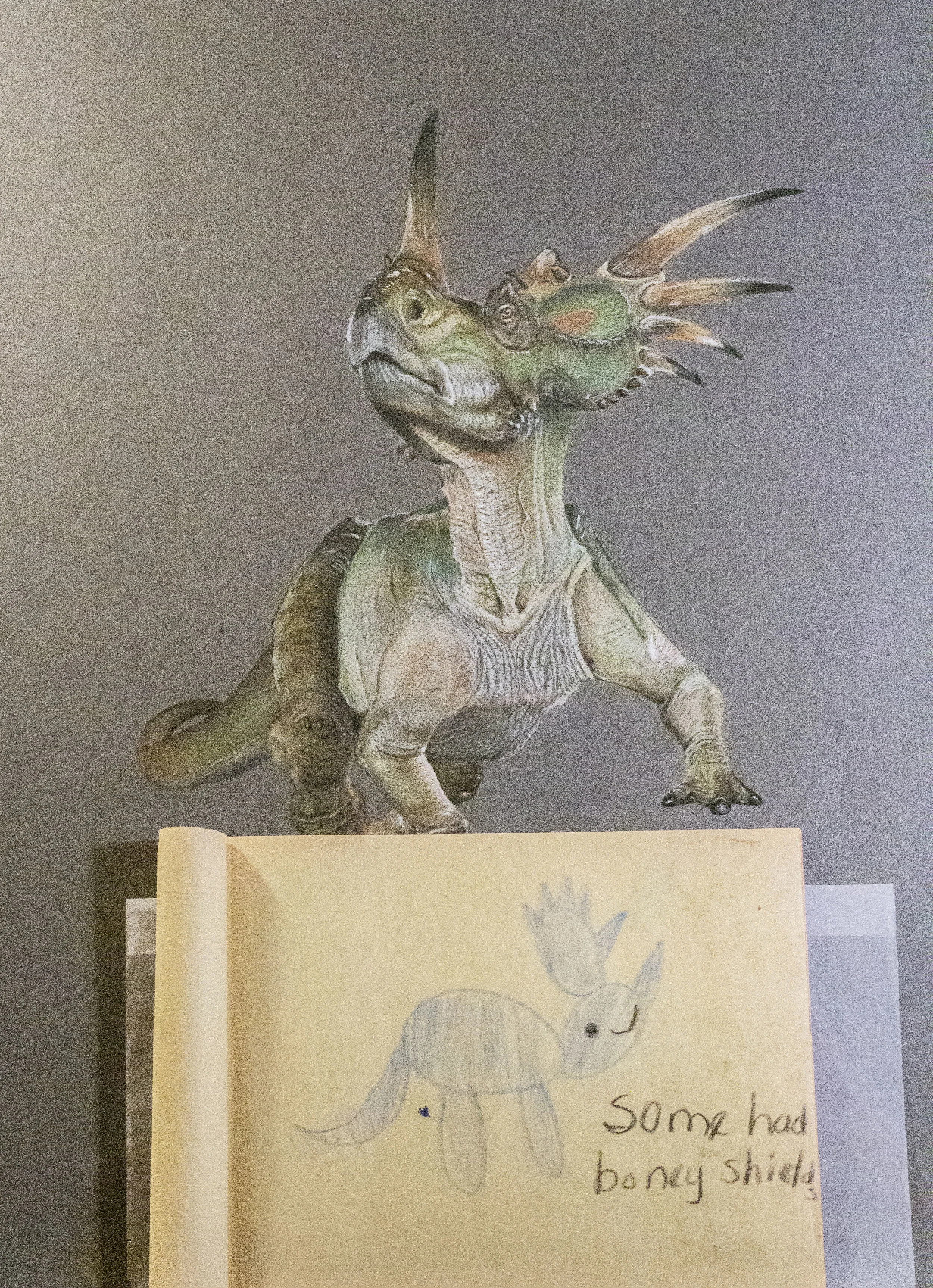 Works from age 5 and age 32
