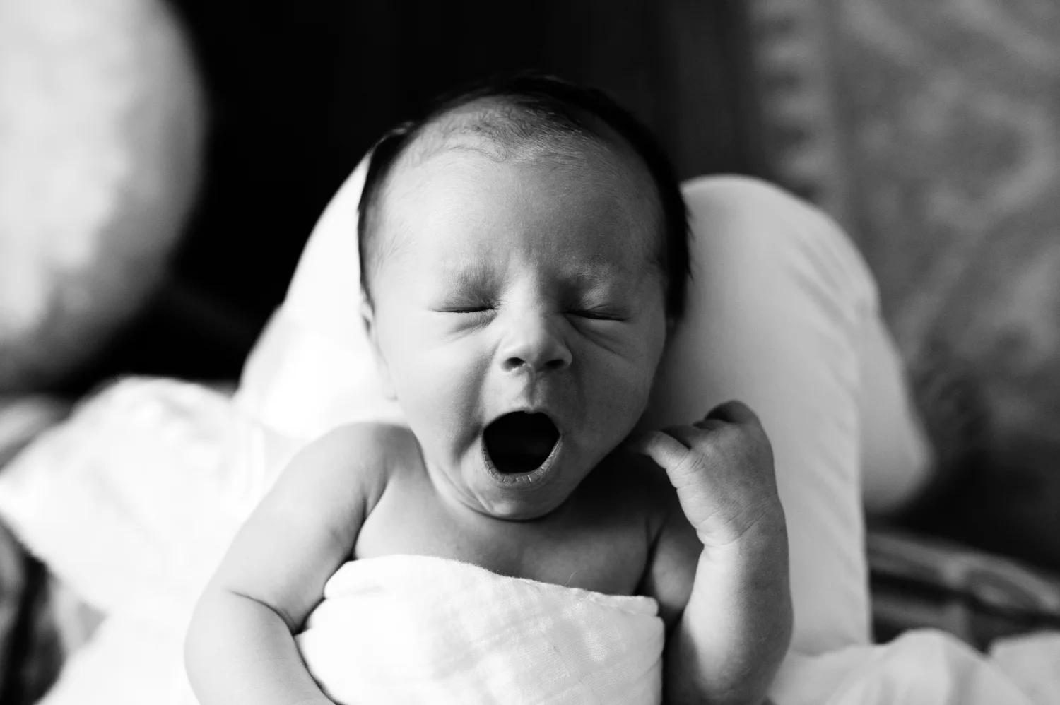 northernvabirthfamilyphotographer-9.jpg