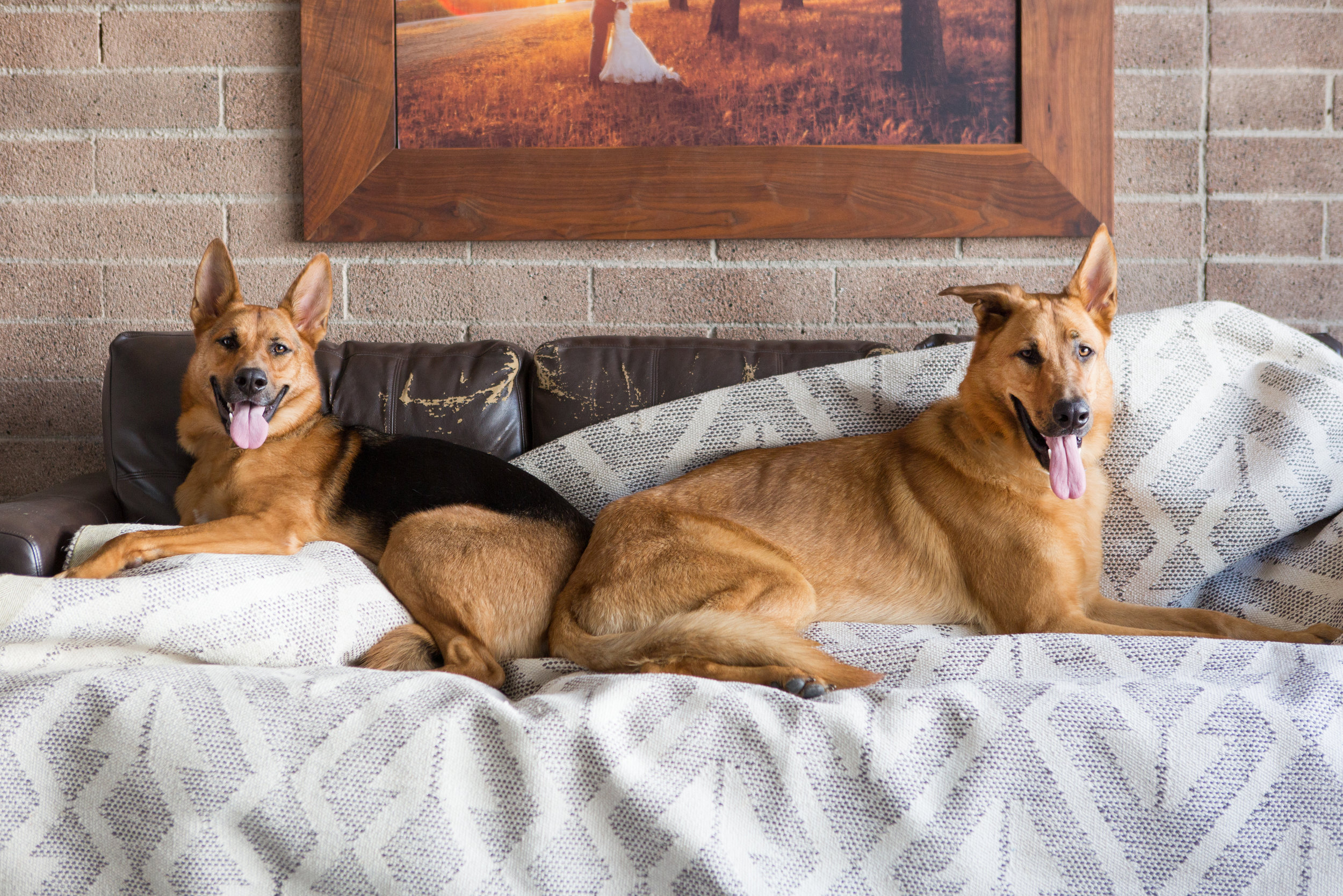 BEHIND THE SCENES... MURPHY AND DUBLIN CHILLIN' ON THE COUCH! 