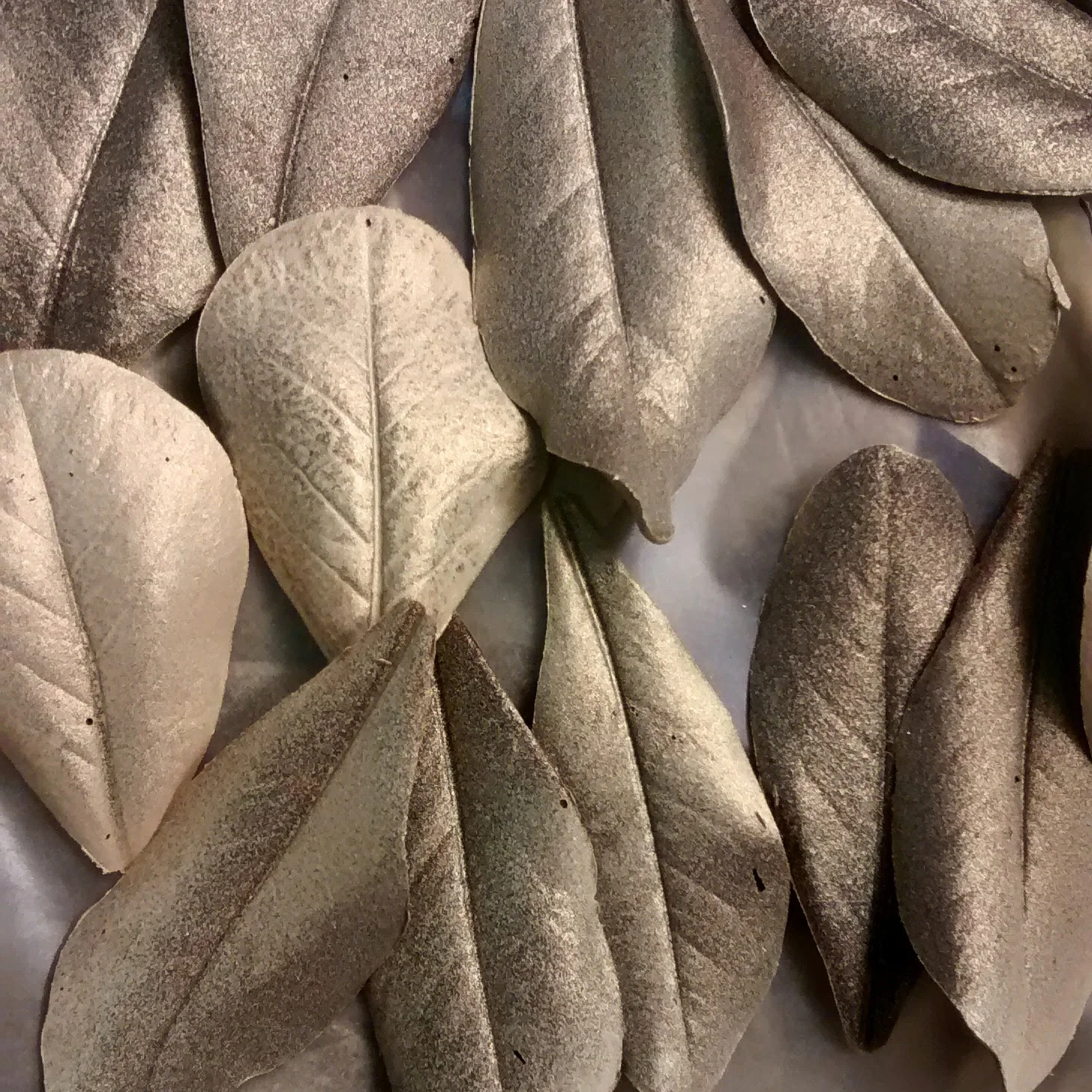 Gilt-chocolate leaves