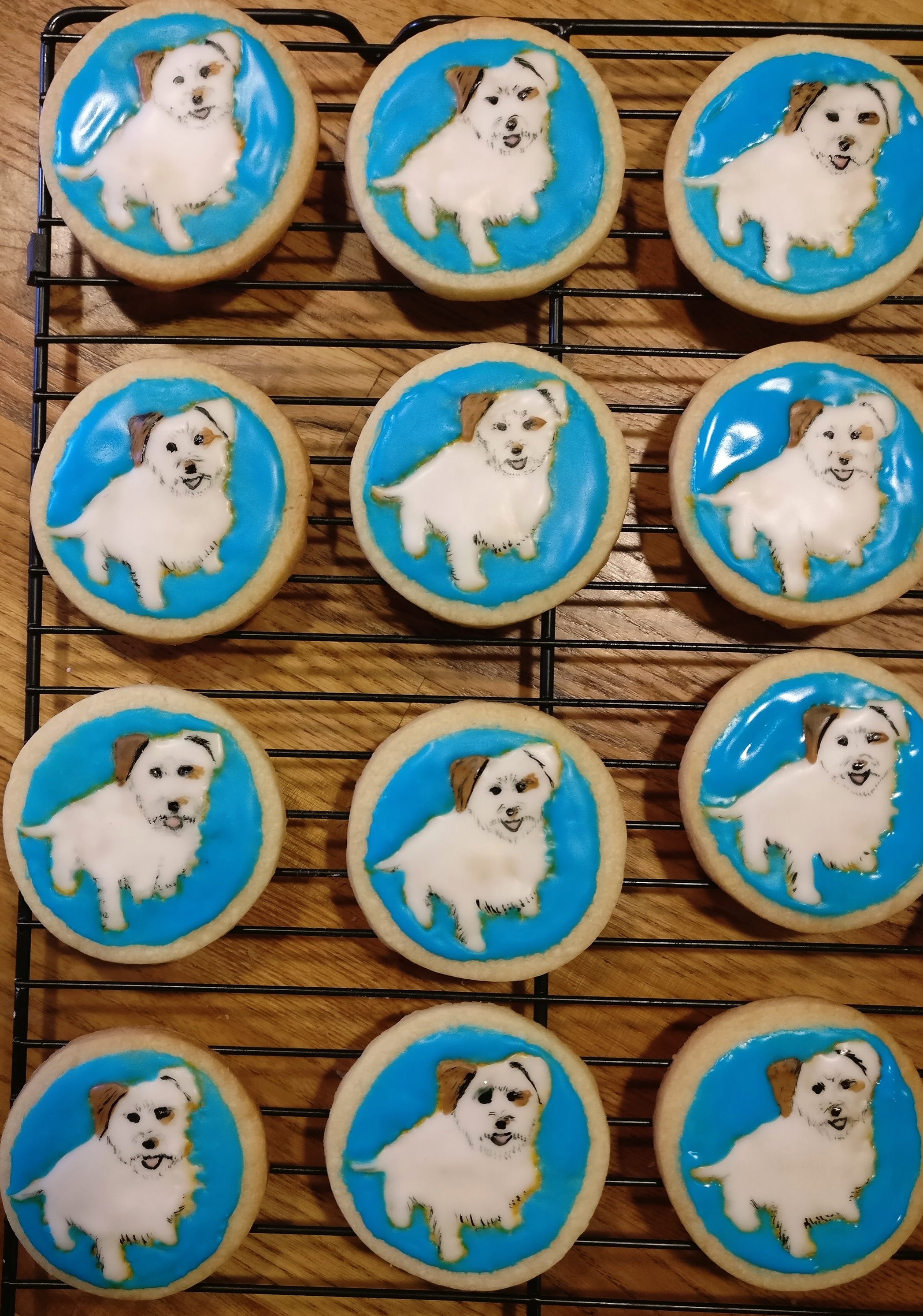 Puppy portrait cookies