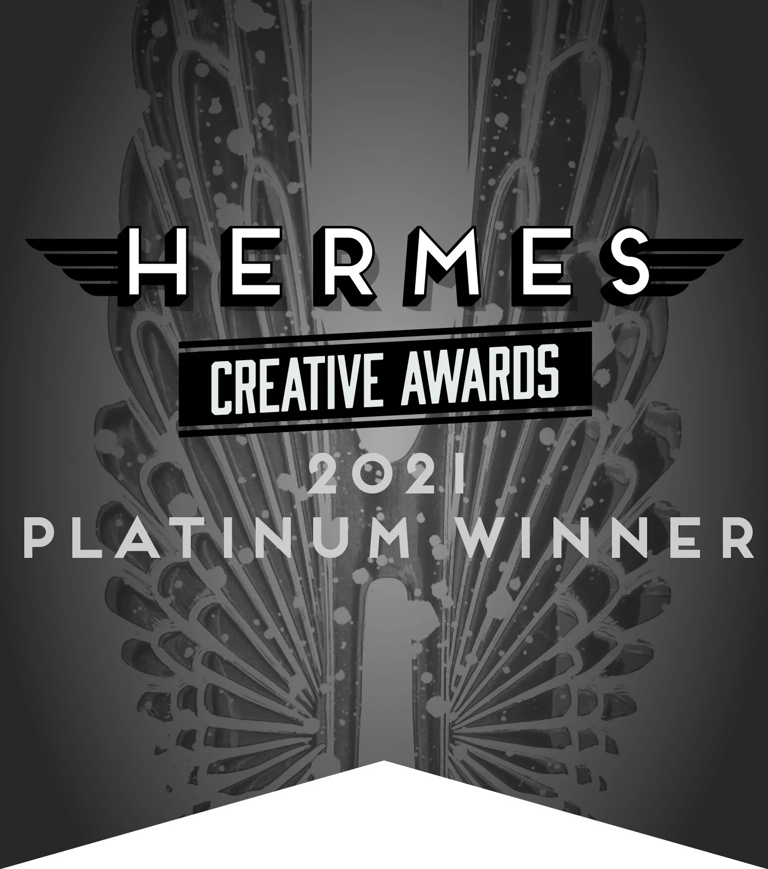 2021 Hermes Platinum Site bug.jpeg