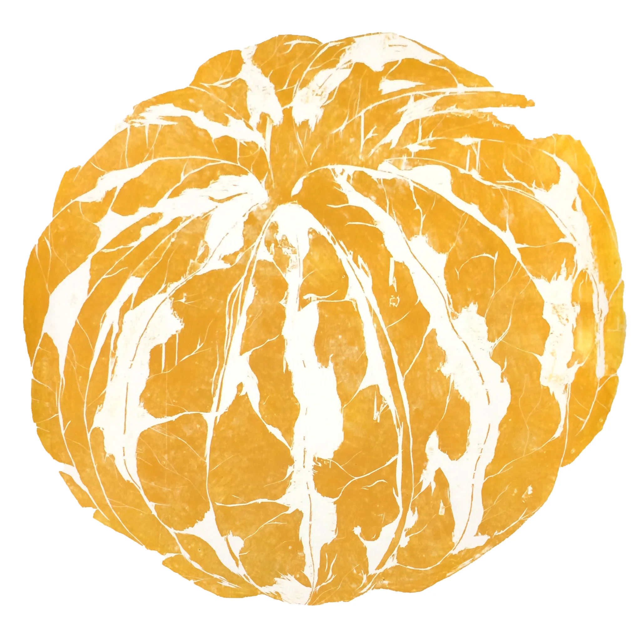 Peeled Orange