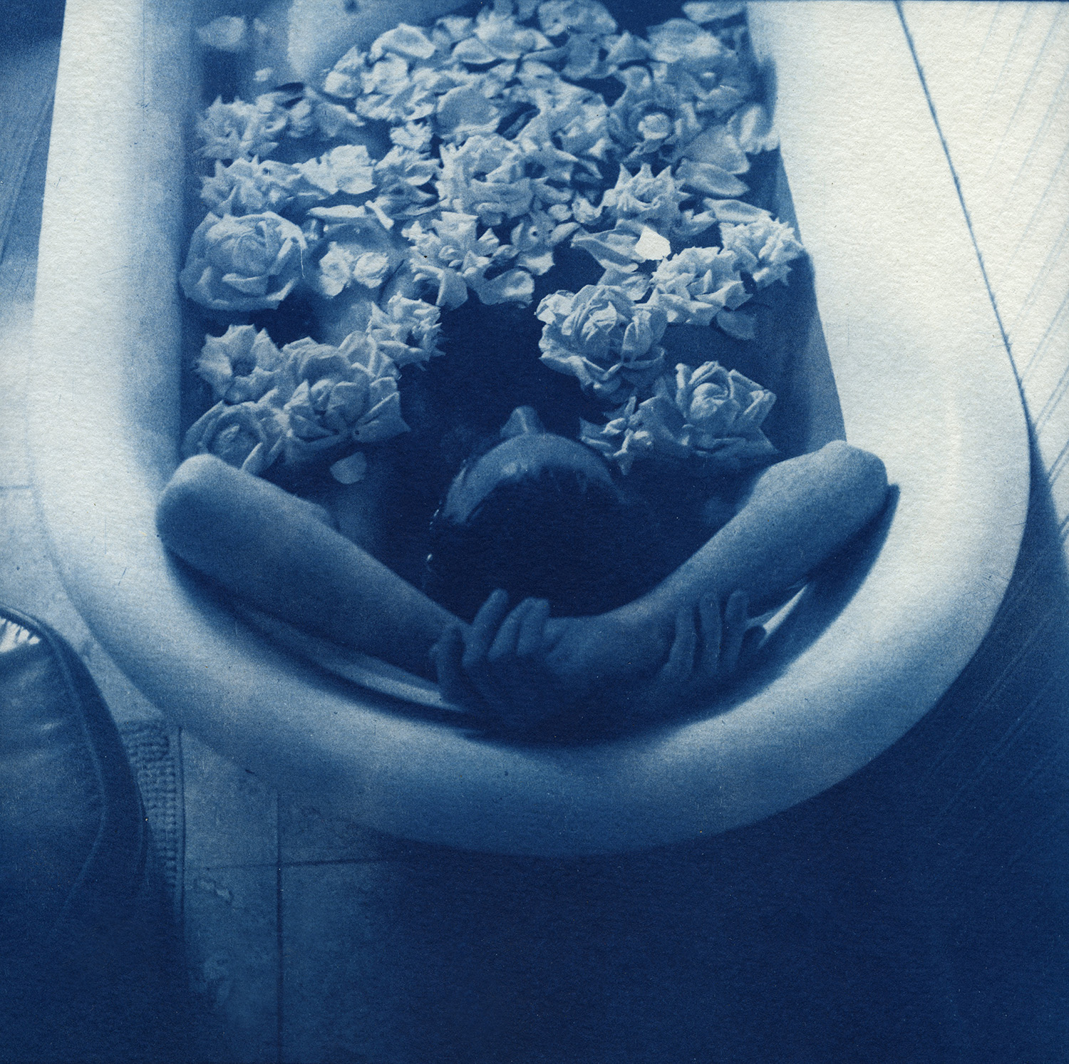 Cleanse, Cyanotype, Spring 2016, Portland, OR