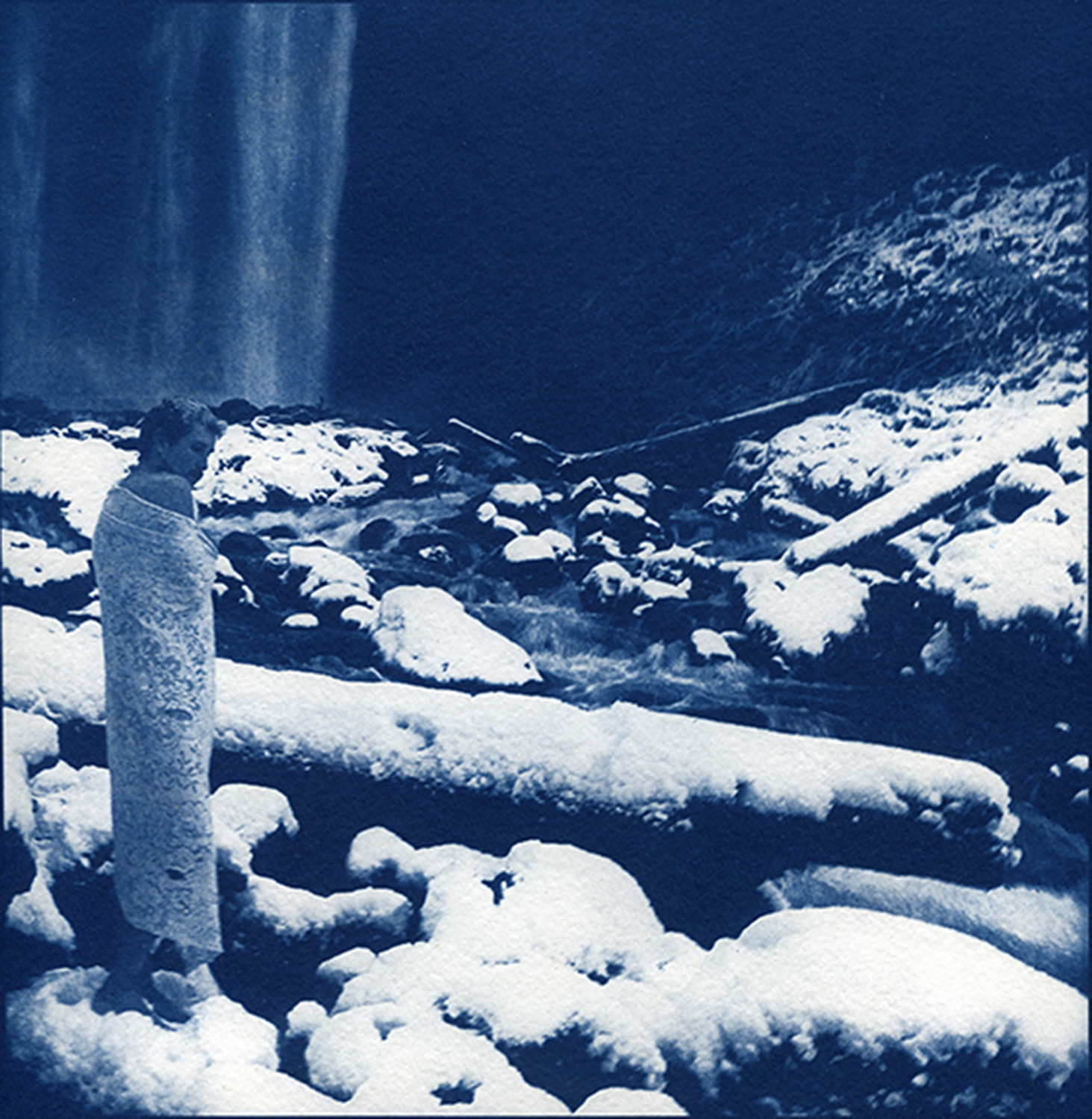 Demure, Cyanotype, Winter 2016, Mt. Hood, OR
