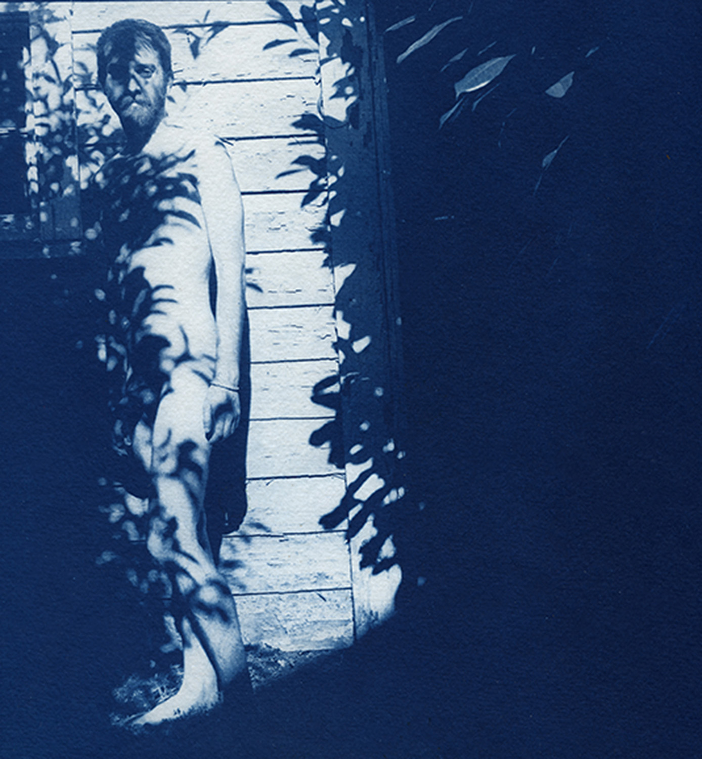 Shade, Cyanotype, Spring 2016, Portland, OR