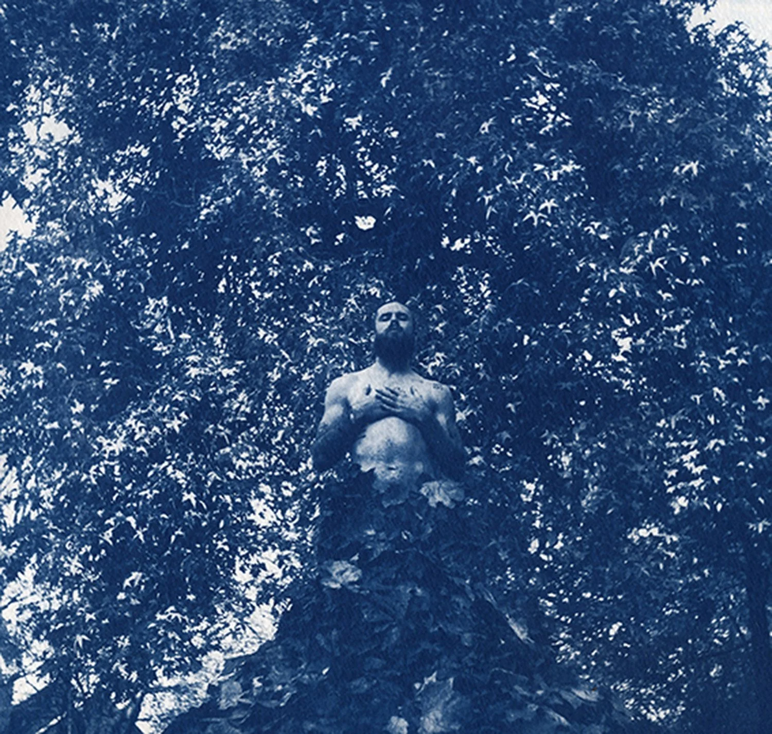 Convalesce, Cyanotype, 2022, Portland, OR