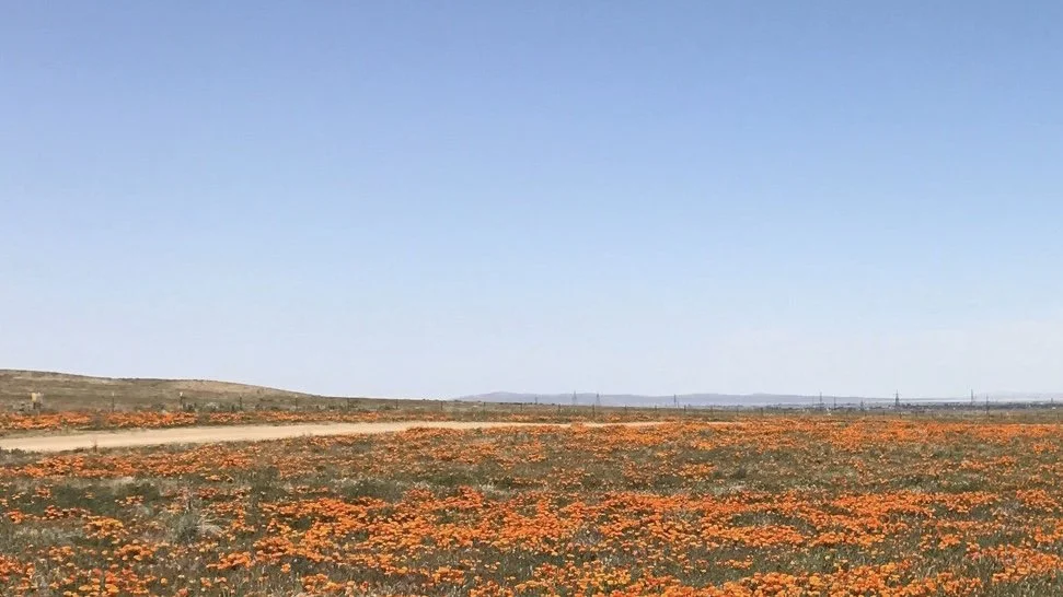 ~34.7514° N, 118.2523° W