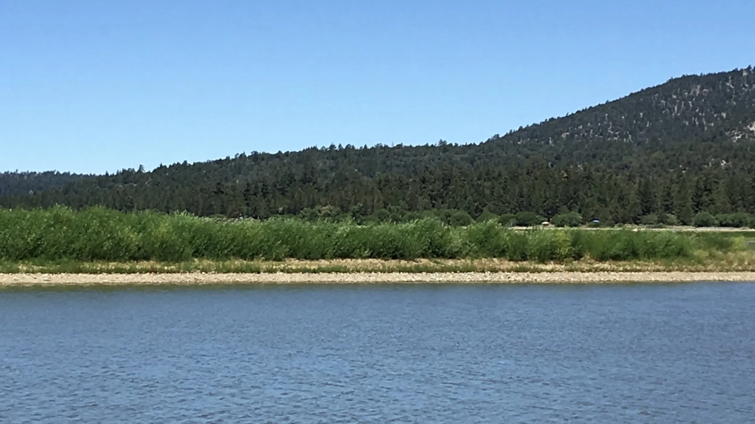 ~34.2439° N, 116.9114° W