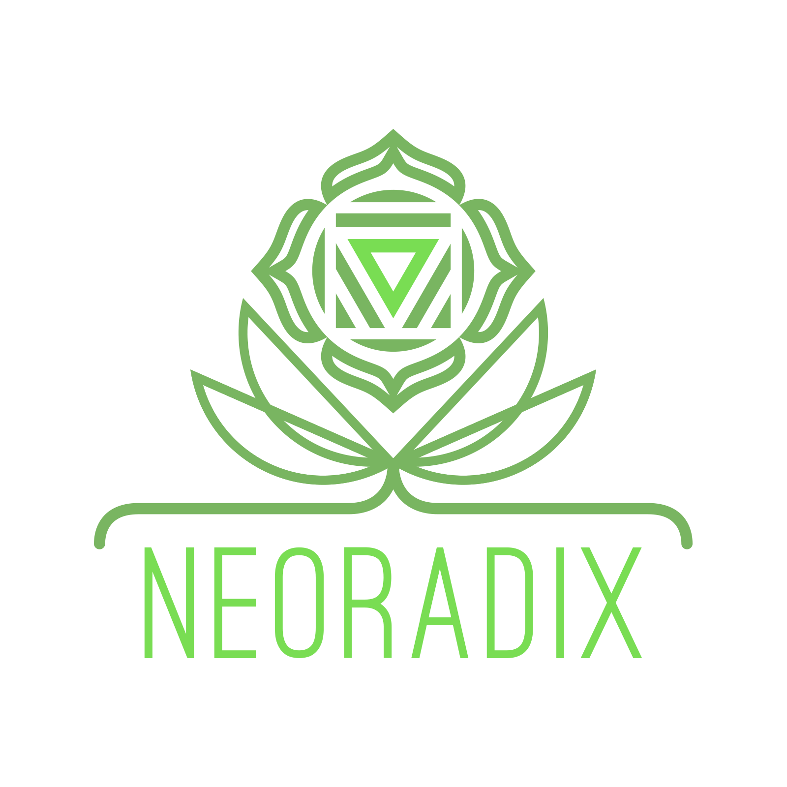 Neoradix_Logo_01.png