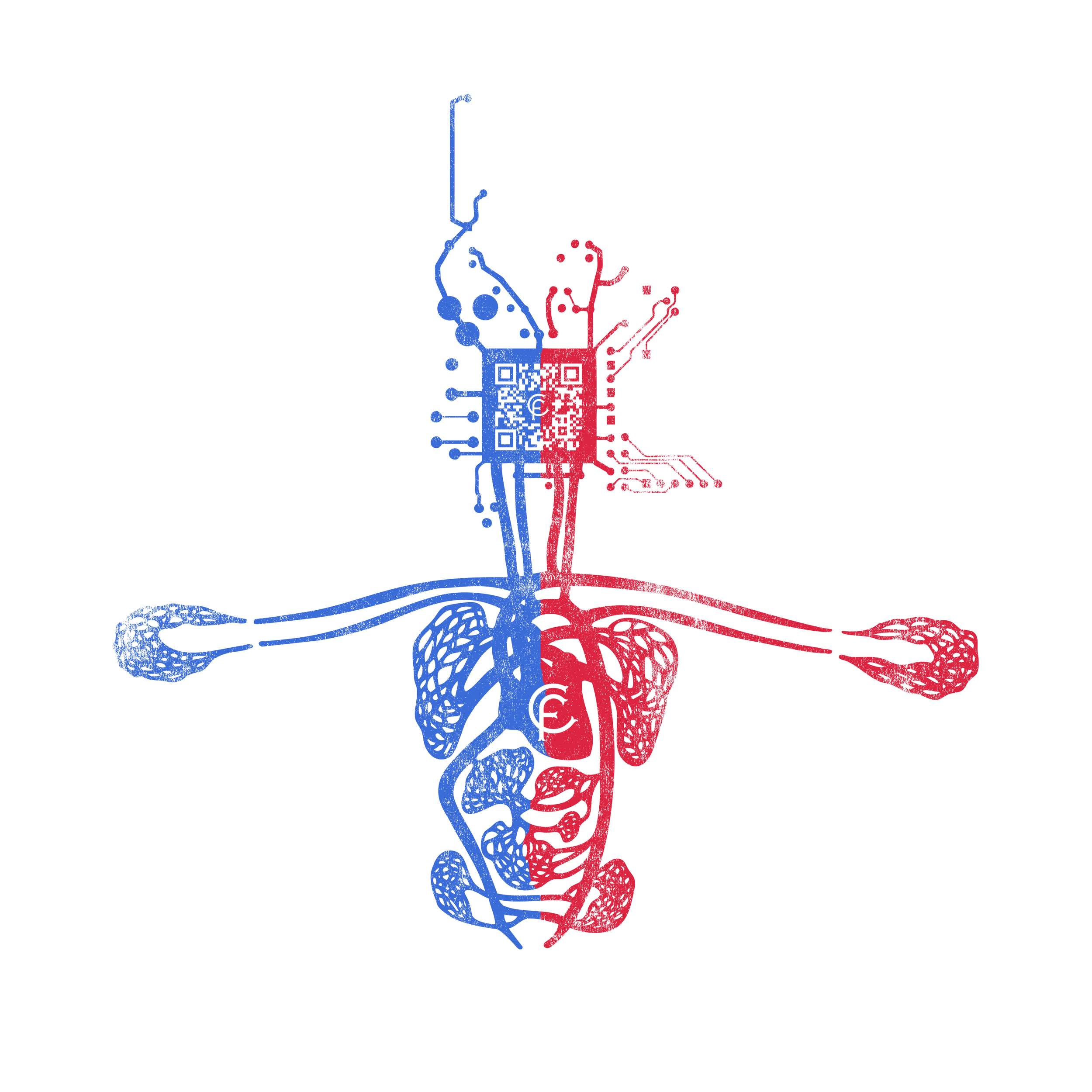 Crypto-nervous-system.png