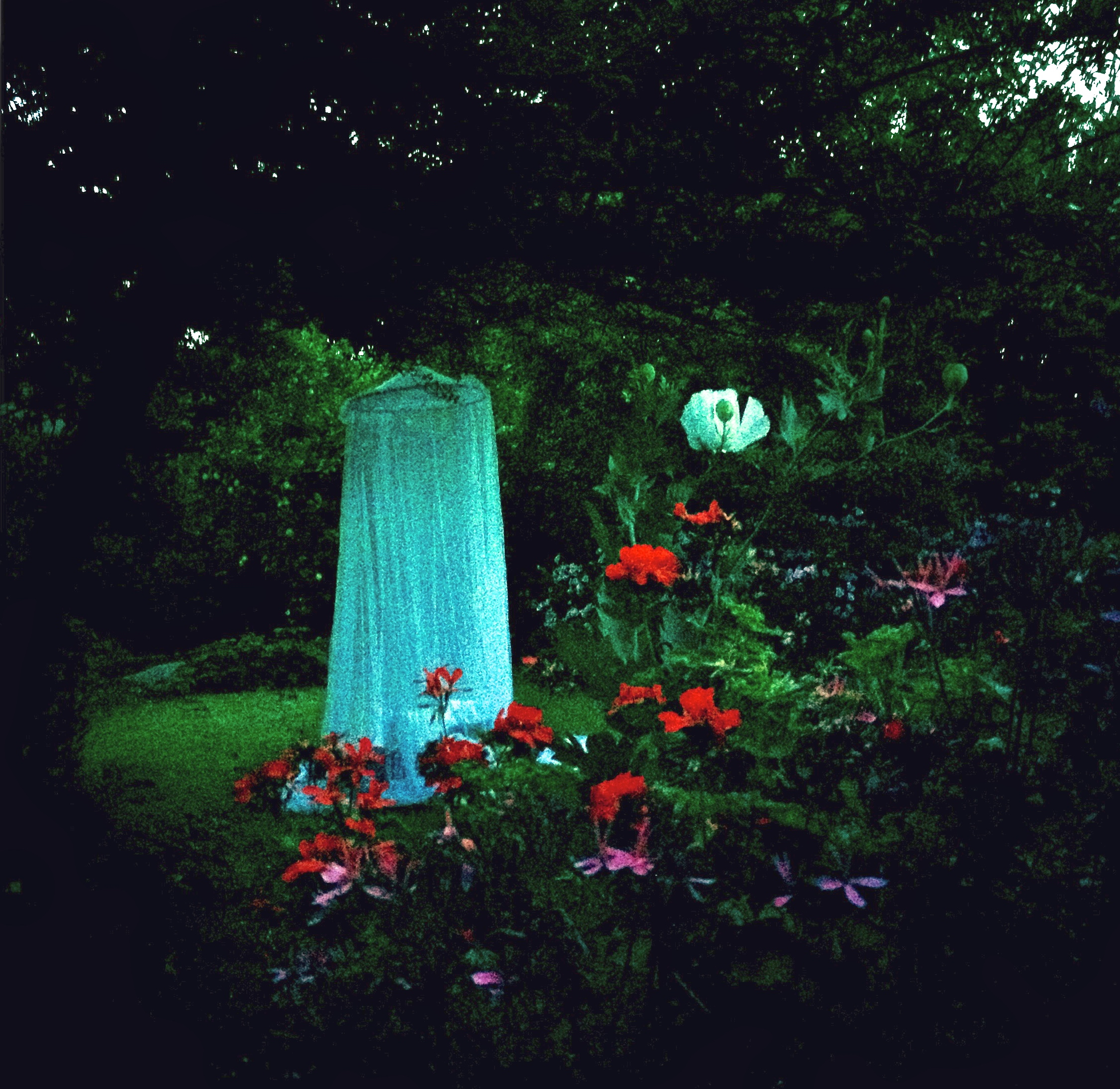 camping in the garden, kew copy.jpeg