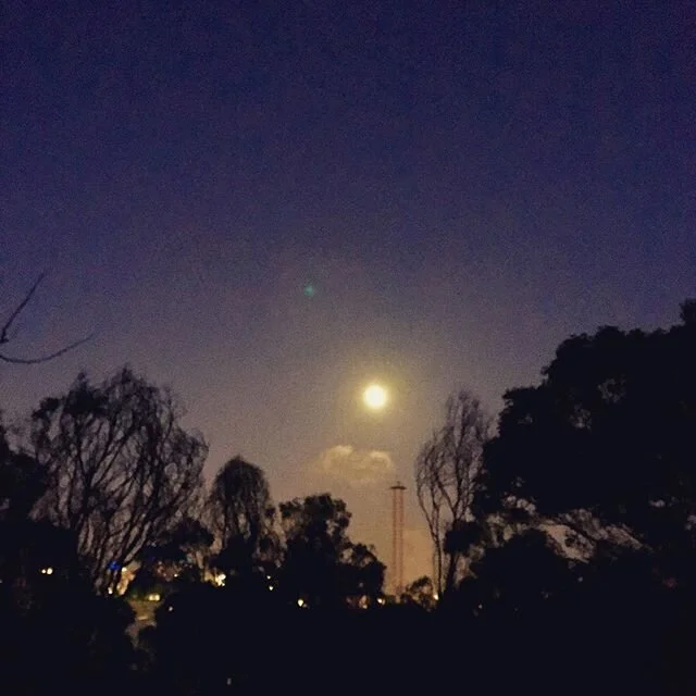 Moonset over Melbs #moon #theresthatmoonagain #chilly