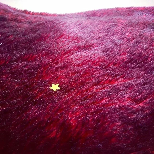 Little stars fell from a gift and settled randomly in my world, agreeably, distantly compliant to the terms of our isolation # shiny #golden #stars