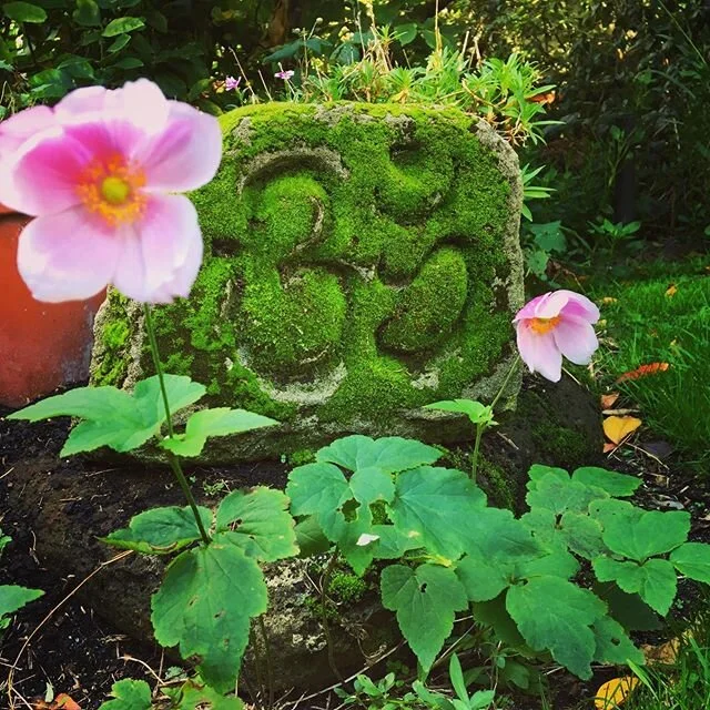 My mossy old carving of OM is. As the saying goes, &lsquo;It loved to happen.&rsquo; Question is, was the damage to my lungs worth it ... #silicosis #Om #coraline #limestone #fossils #moss #windflower #autumn